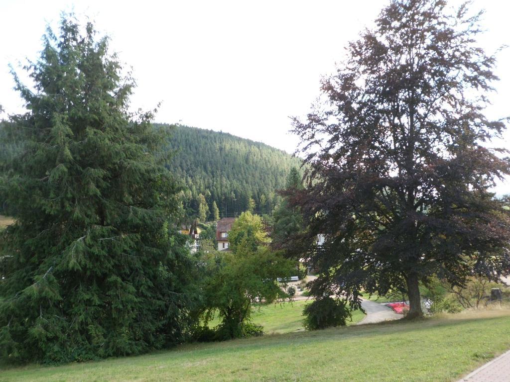 Landhaus Enztalperle Enzklösterle Buitenkant foto