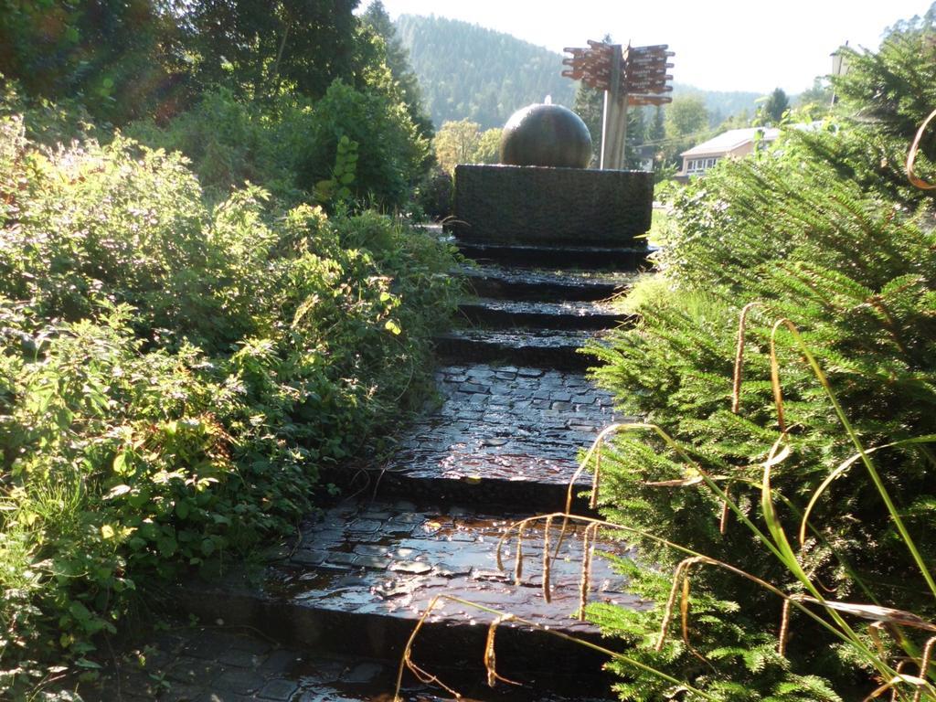 Landhaus Enztalperle Enzklösterle Buitenkant foto