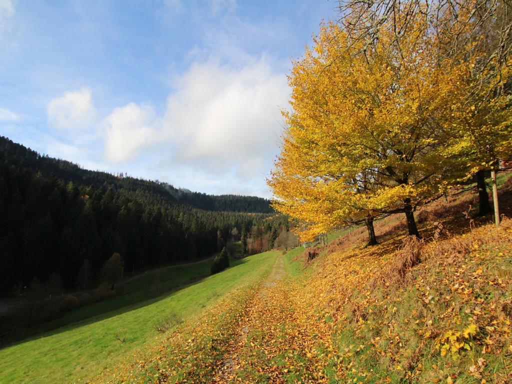 Landhaus Enztalperle Enzklösterle Buitenkant foto